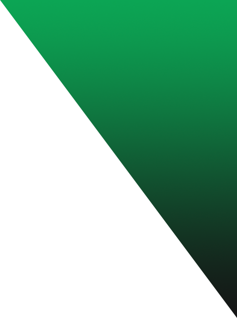 main-slider-shape-1.png